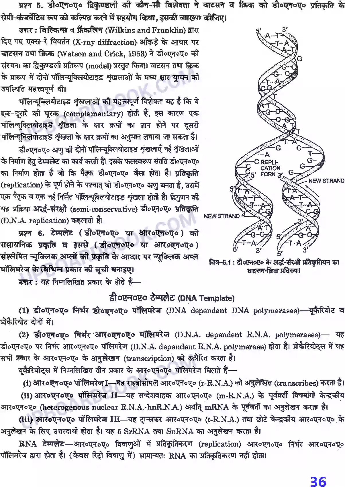 UP Board Solution class 12 Biology 6. वंशागति के आण्विक आधार Image 2