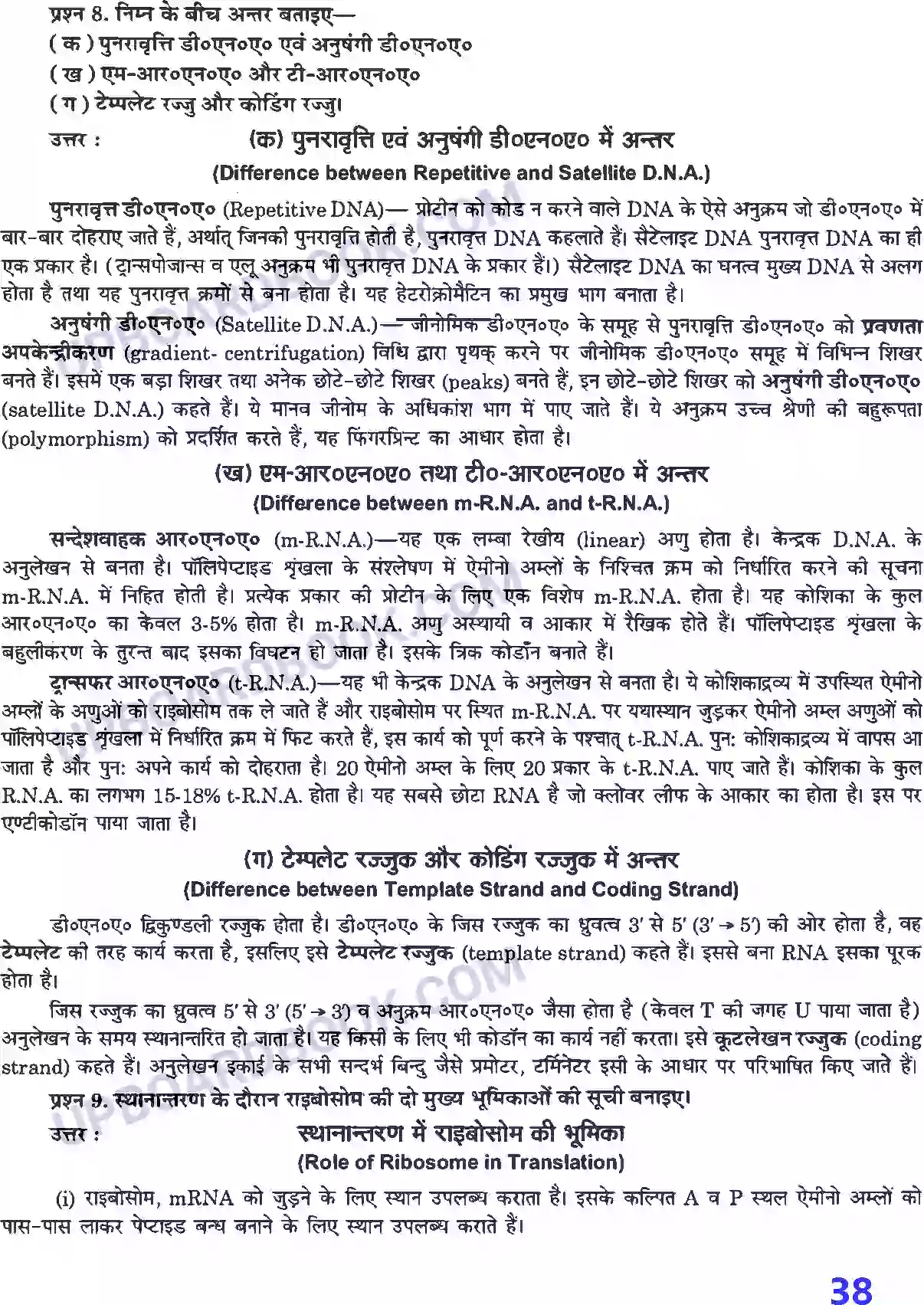 UP Board Solution class 12 Biology 6. वंशागति के आण्विक आधार Image 4