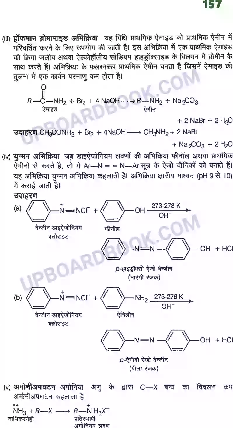 UP Board Solution class 12 Chemistry 13. ऐमीन Image 15