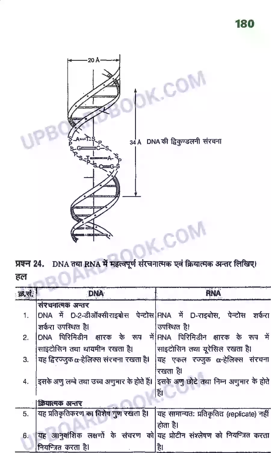 UP Board Solution Class 12 Chemistry 14. जैव अणु Image 13