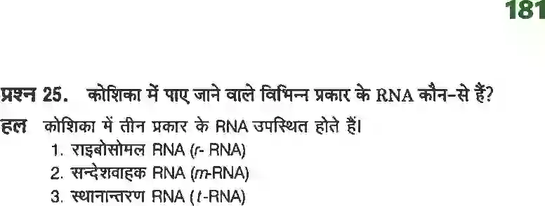 UP Board Solution class 12 Chemistry 14. जैव अणु Image 14