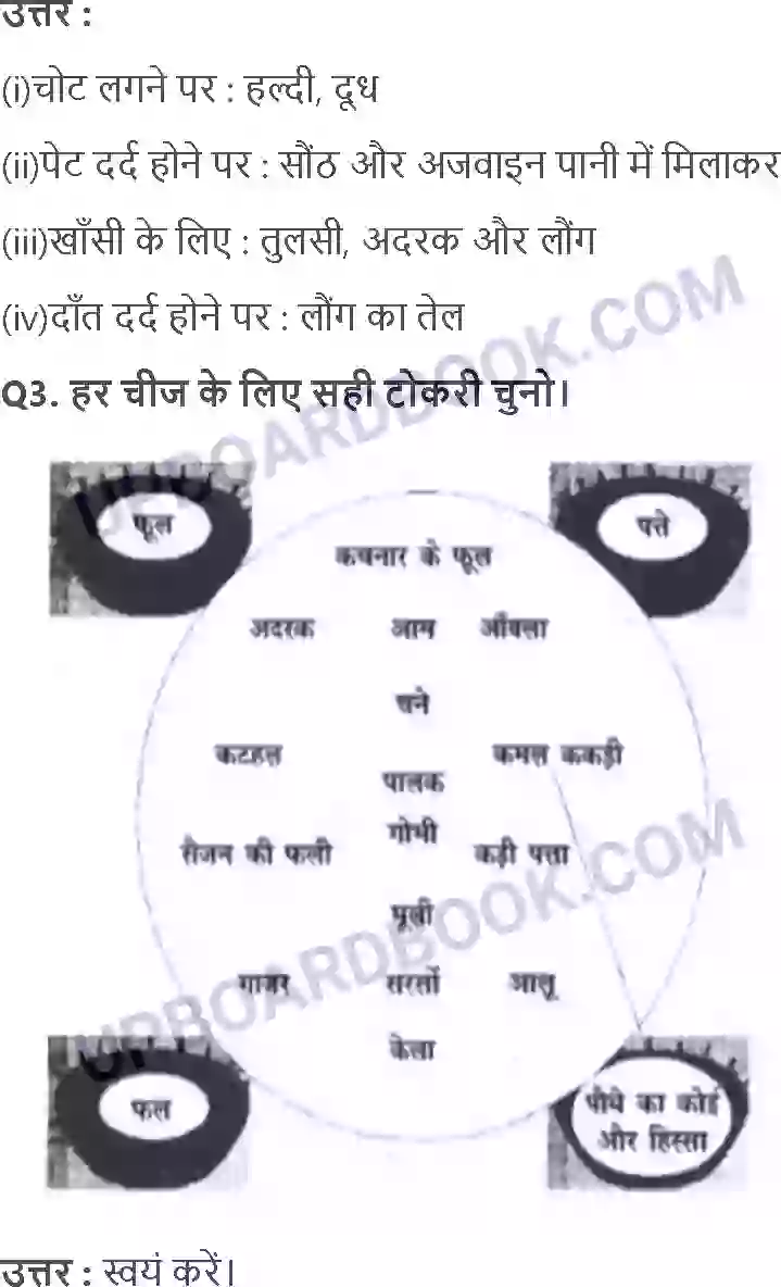 UP Board Solution class 3 EVS 14. कहाँ से आया; किसने पकाया Image 3