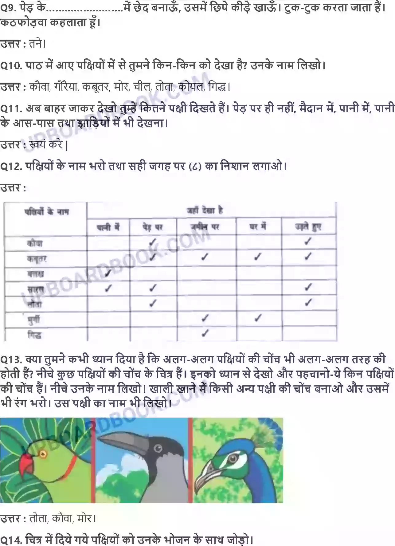 UP Board Solution class 3 EVS 8. पंख फैलाएँ; उड़ते जाएँ Image 2