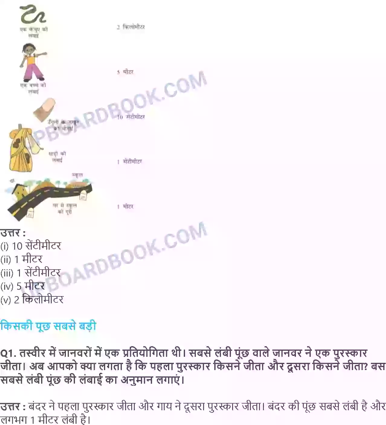 UP Board Solution class 3 Maths 4. क्या लंबा क्या छोटा Image 5