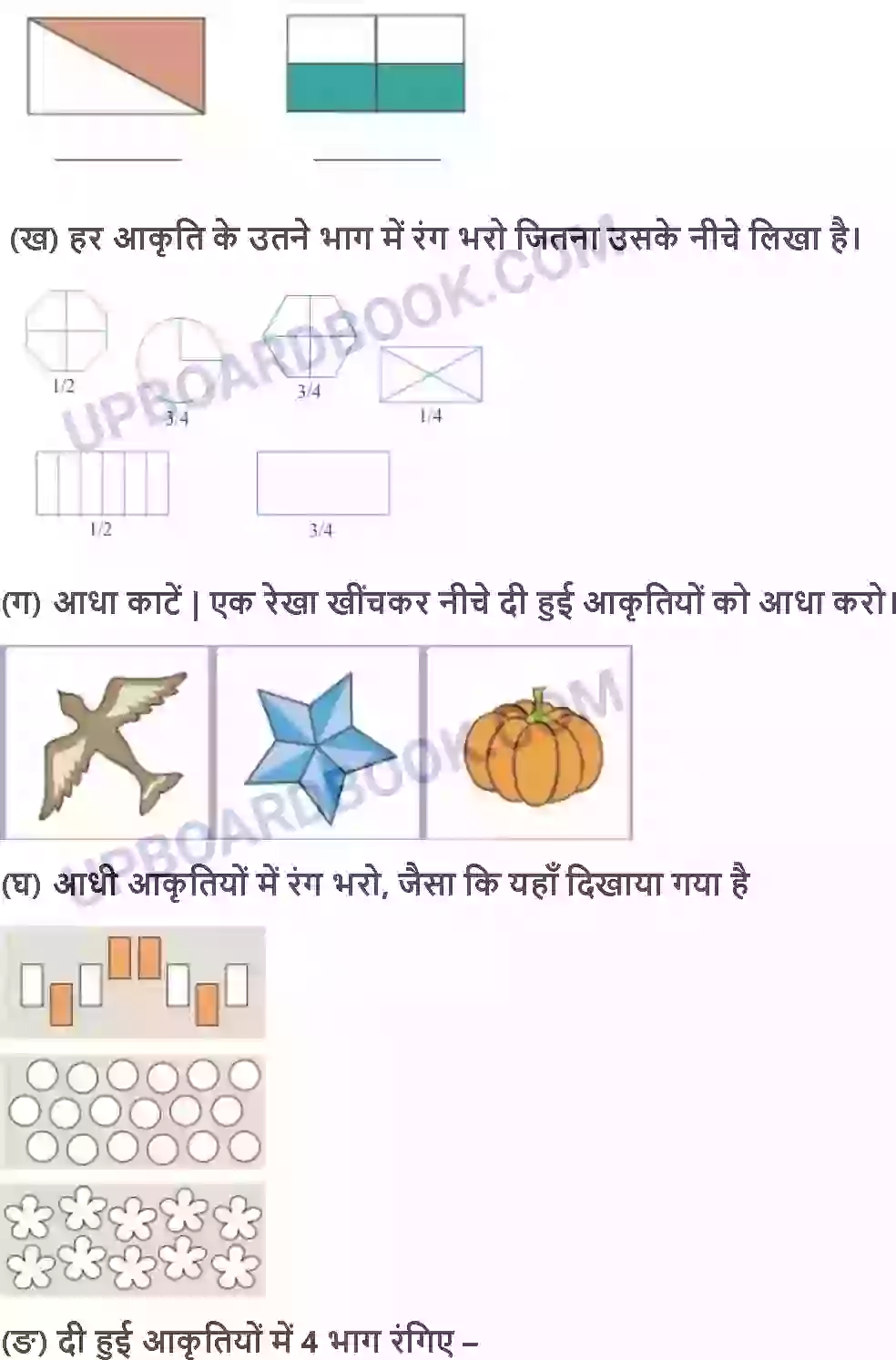 UP Board Solution Class 4 Maths 9. आधा और चौथाई Image 4