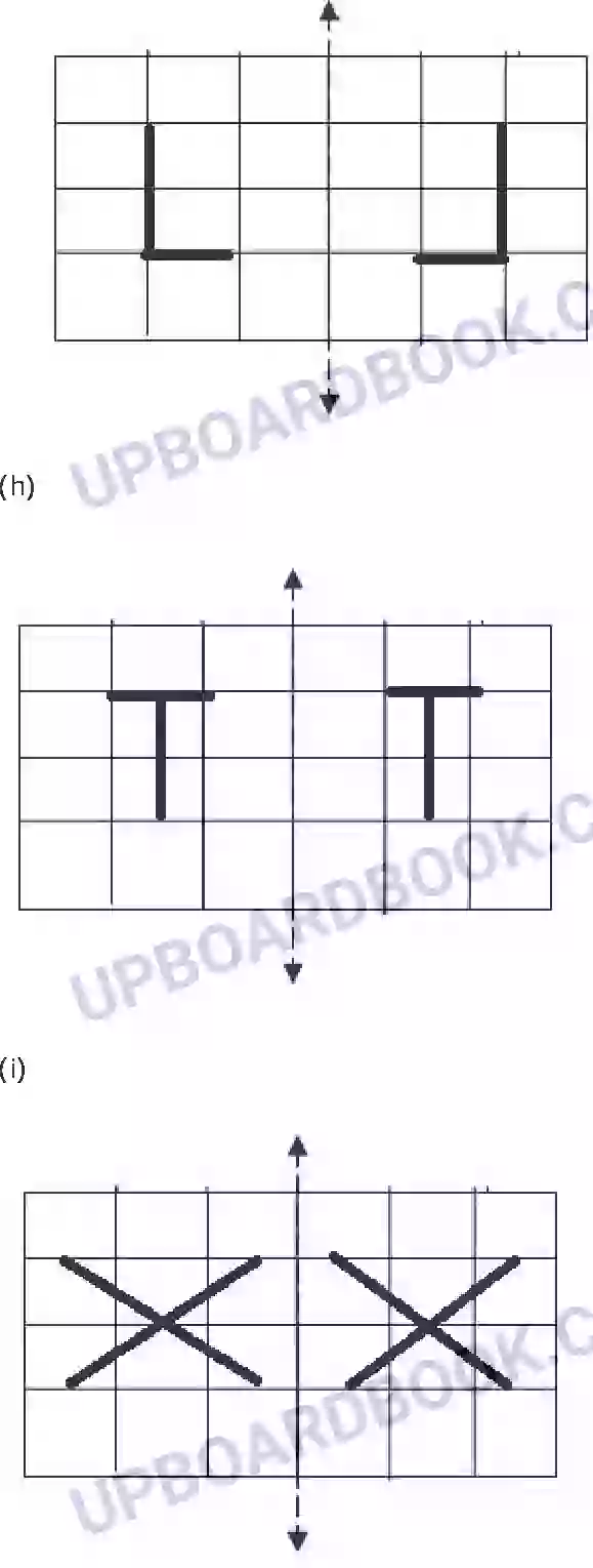 UP Board Solution class 6 Maths 13. सममिति Image 17