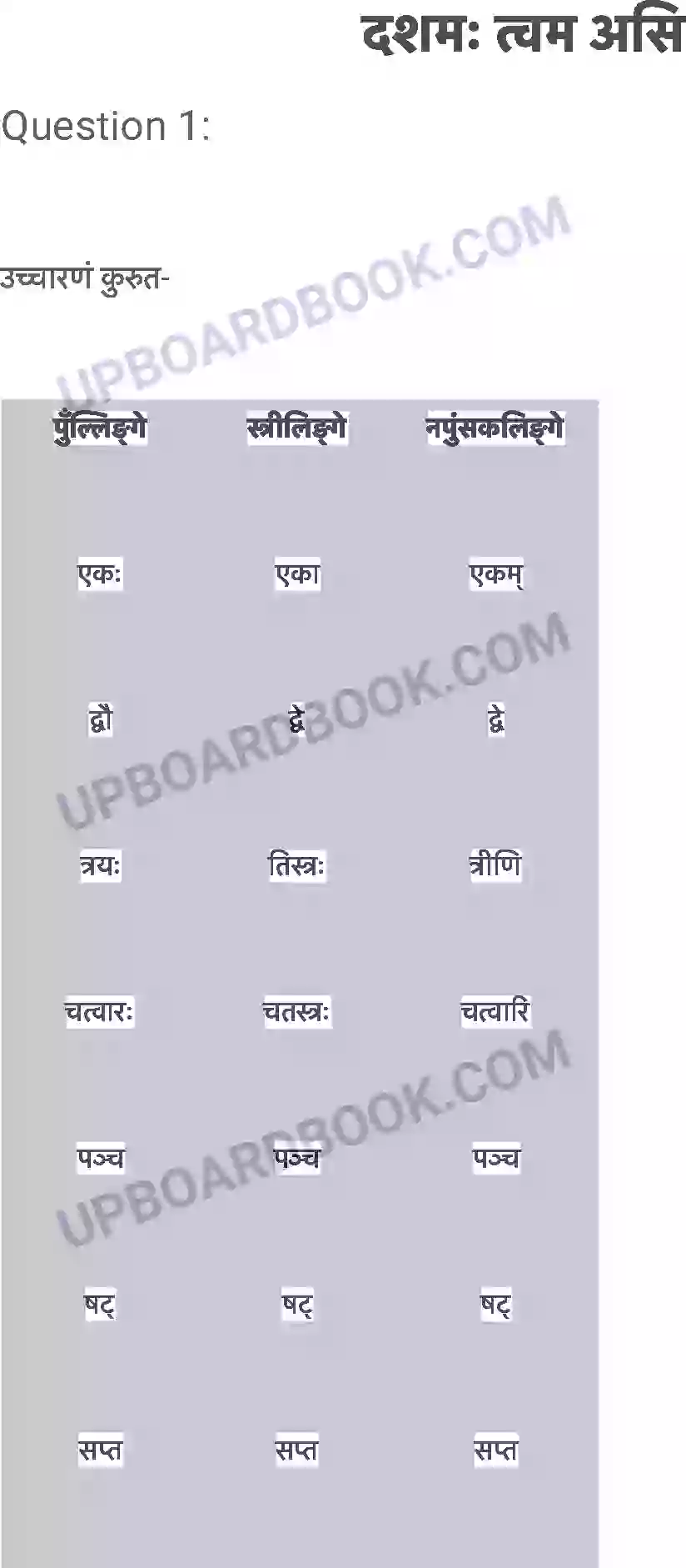 UP Board Solution class 6 Sanskrit 12. दशमः त्वम असि Image 1