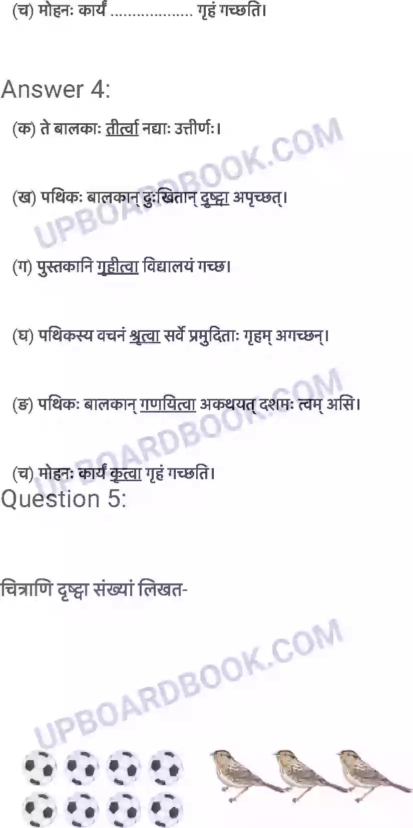 UP Board Solution class 6 Sanskrit 12. दशमः त्वम असि Image 7