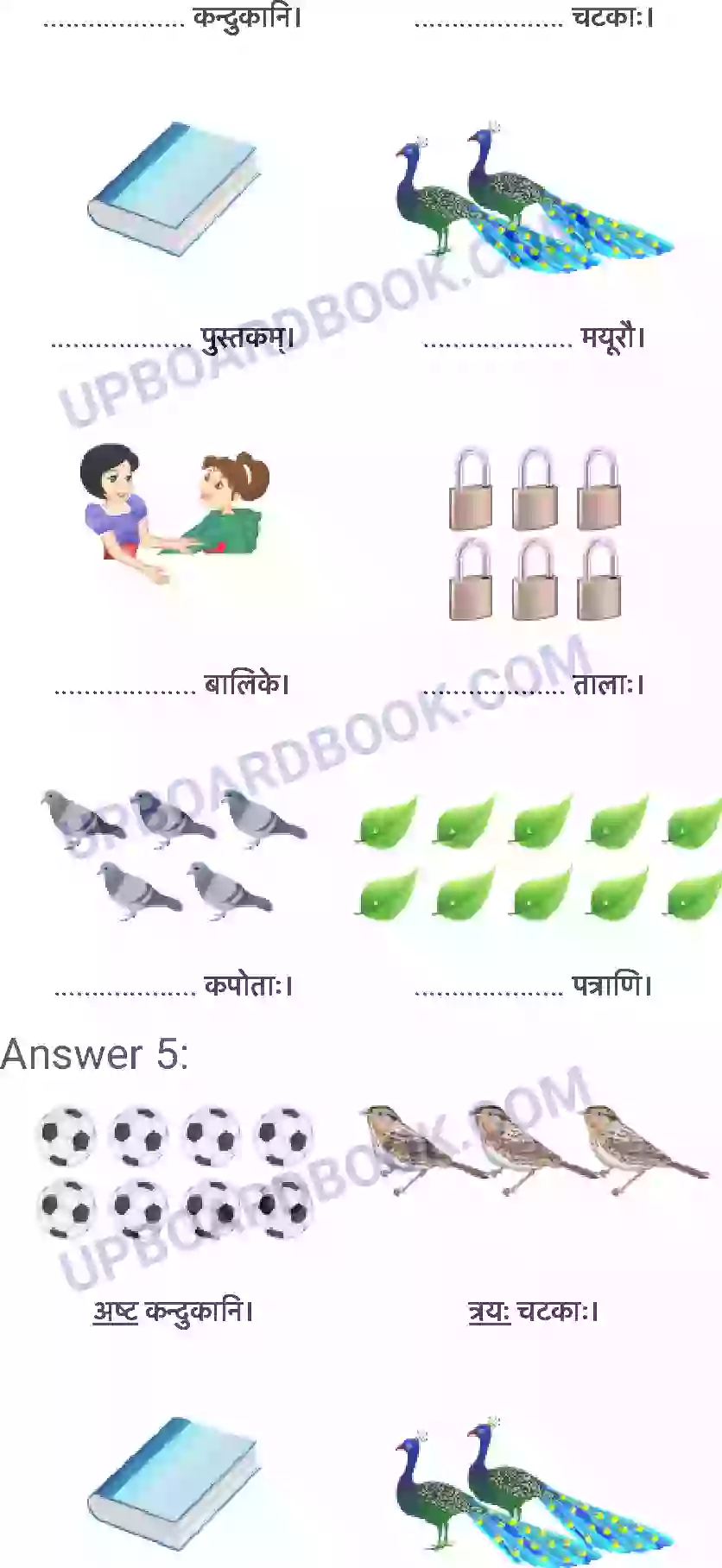 UP Board Solution class 6 Sanskrit 12. दशमः त्वम असि Image 8