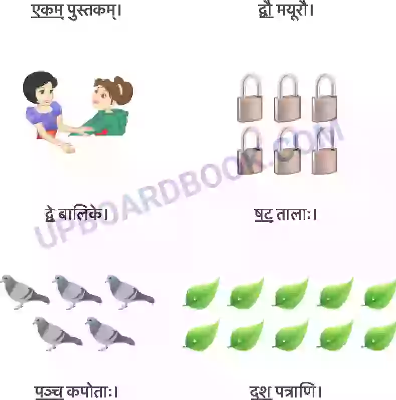 UP Board Solution class 6 Sanskrit 12. दशमः त्वम असि Image 9