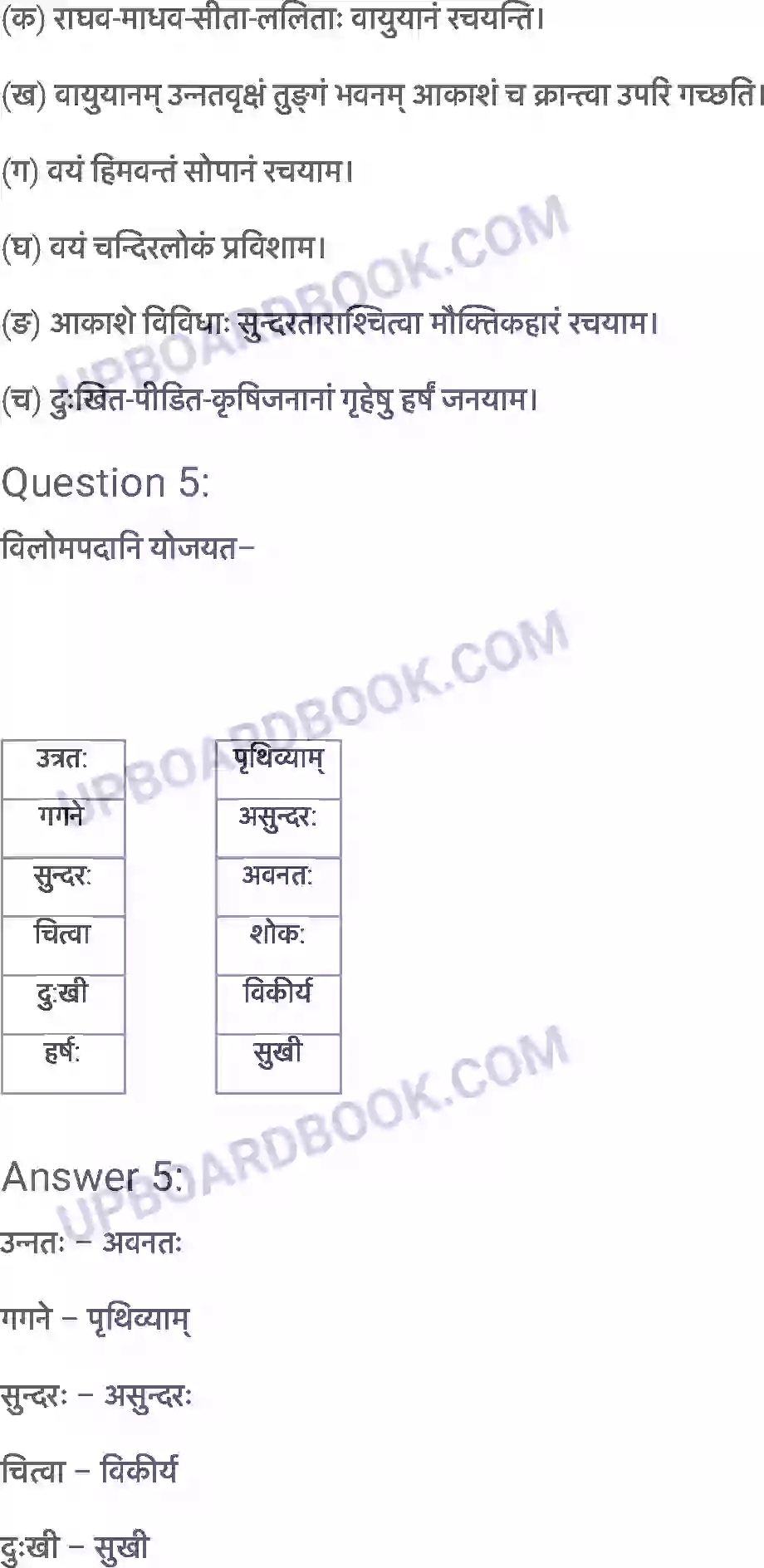 UP Board Solution class 6 Sanskrit 13. विमानयानं रचयाम Image 3