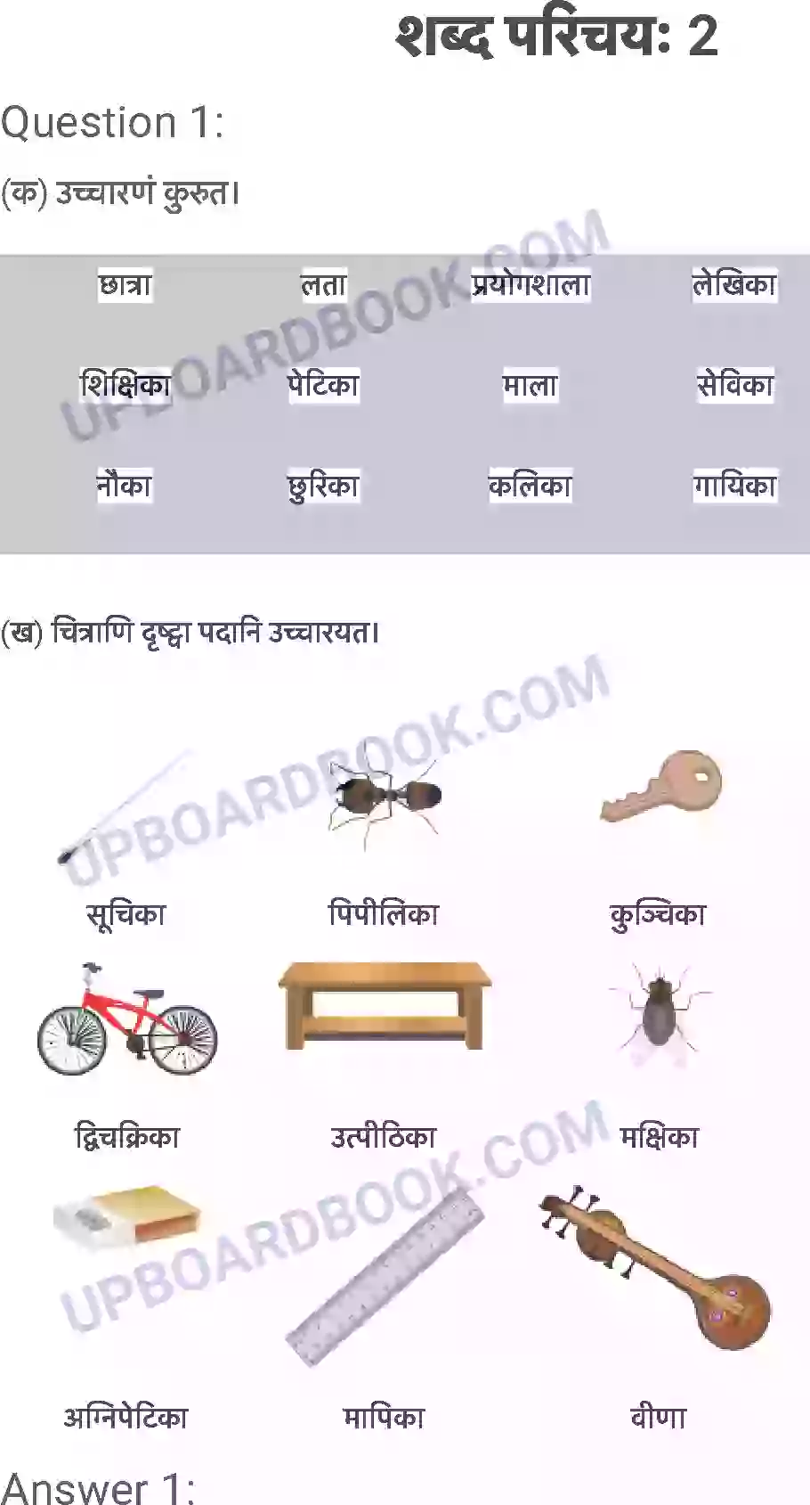 UP Board Solution Class 6 Sanskrit 2. शब्द परिचयः 2 Image 1