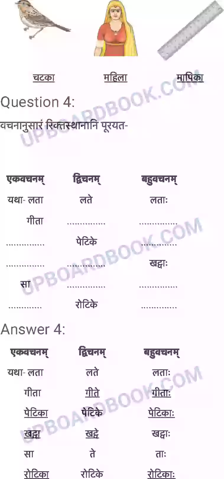 UP Board Solution Class 6 Sanskrit 2. शब्द परिचयः 2 Image 6