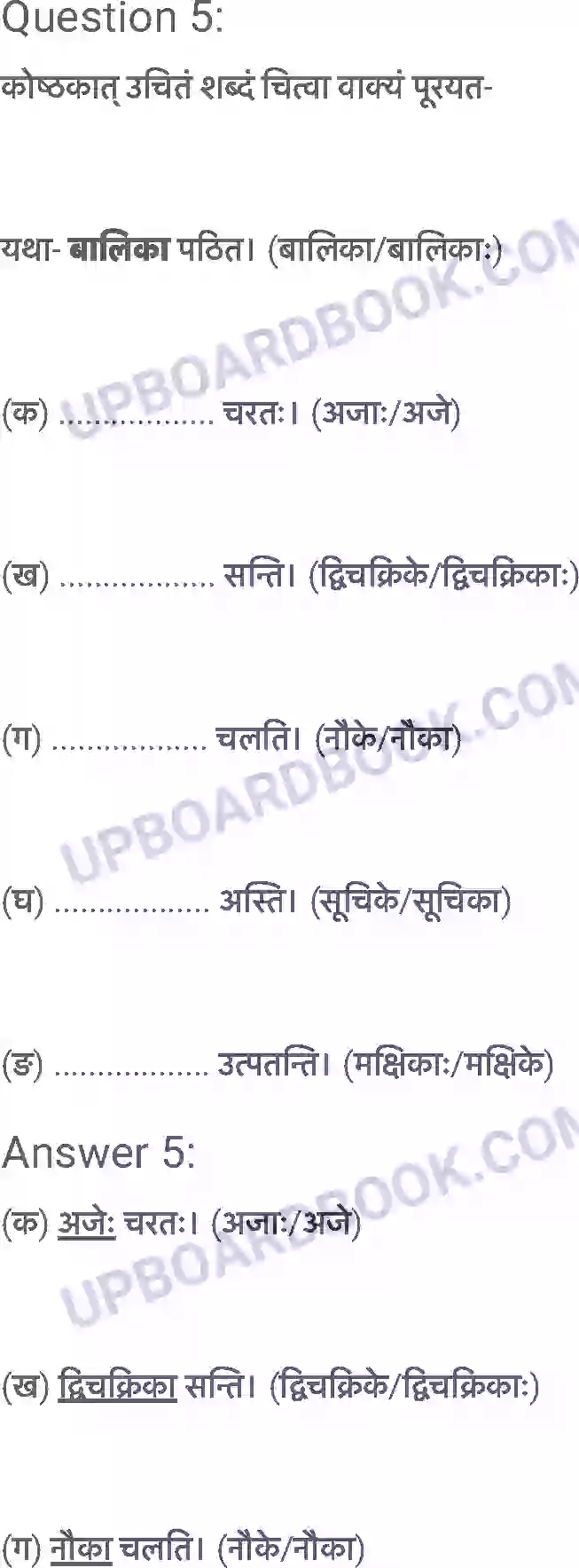 UP Board Solution Class 6 Sanskrit 2. शब्द परिचयः 2 Image 7