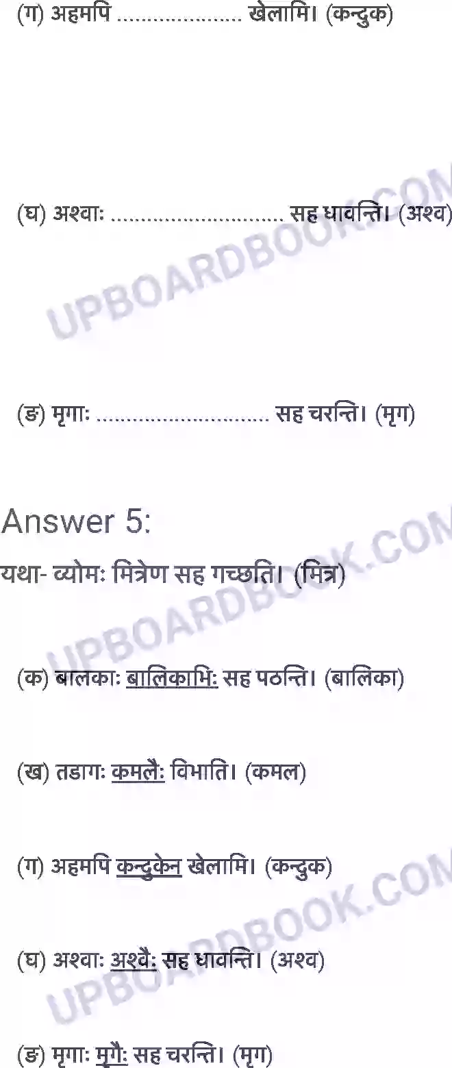 UP Board Solution Class 6 Sanskrit 6. समुद्रतटः Image 6