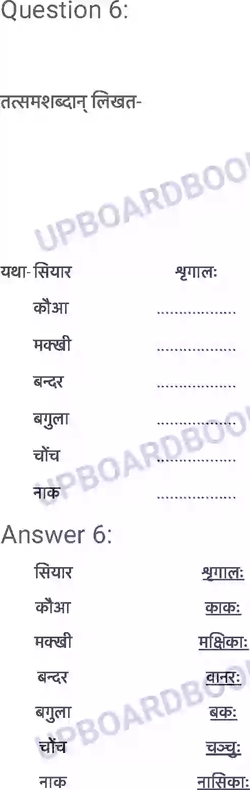 UP Board Solution Class 6 Sanskrit 7. बकस्य प्रतिकारः Image 7