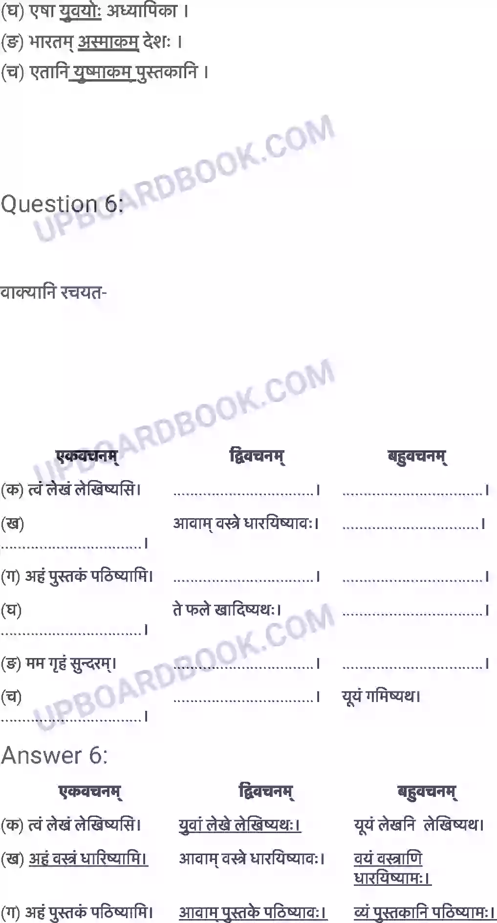 UP Board Solution Class 6 Sanskrit 9. क्रीडास्पर्धा Image 7