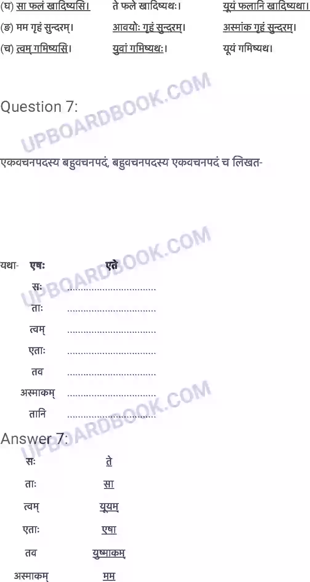 UP Board Solution Class 6 Sanskrit 9. क्रीडास्पर्धा Image 8