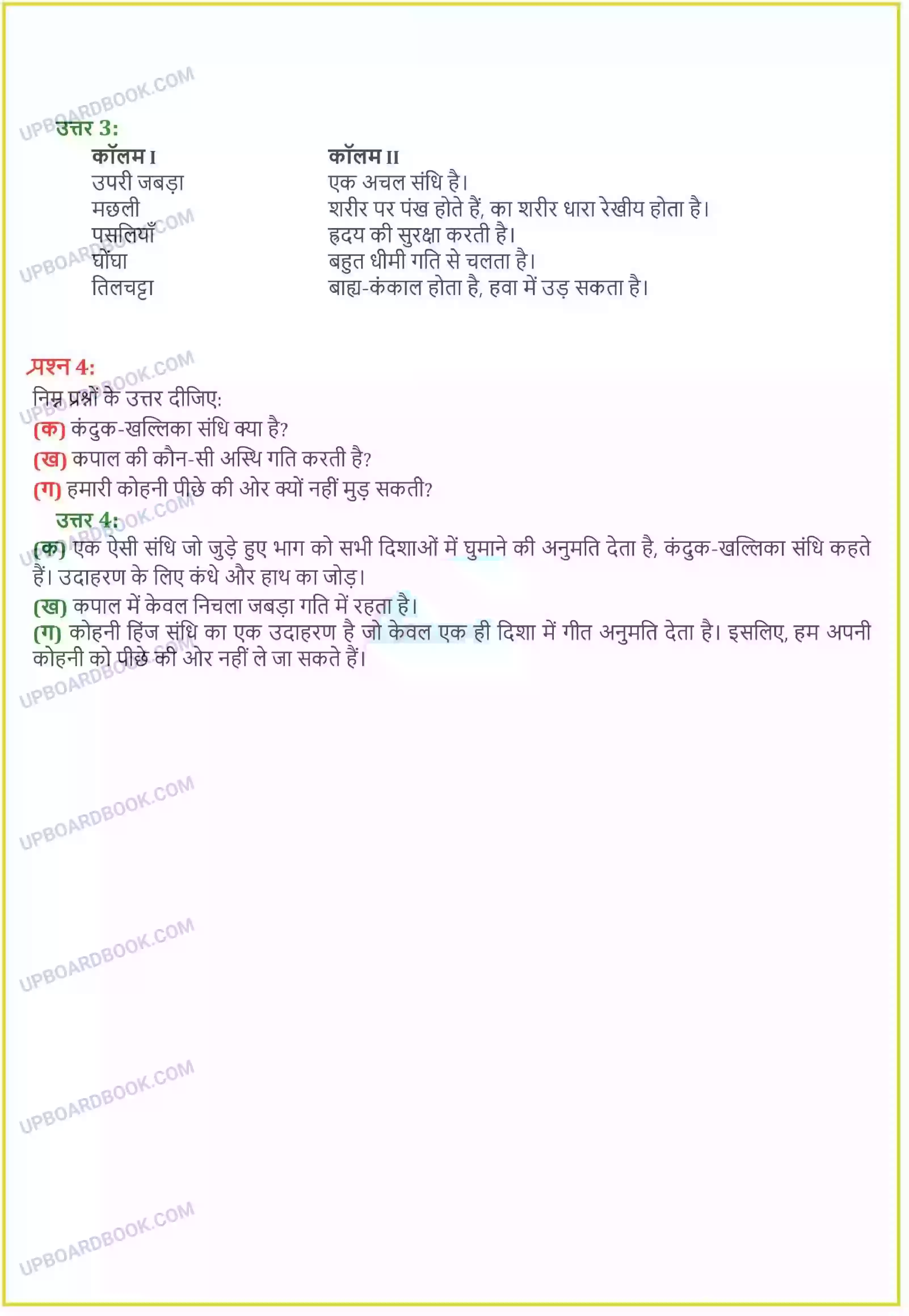 UP Board Solution class 6 Science 8. शरीर में गति Image 2