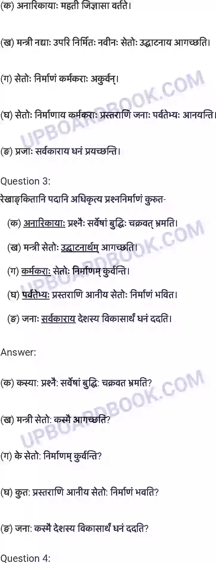 UP Board Solution Class 7 Sanskrit 14. अनारिकाया: जिज्ञासा Image 2