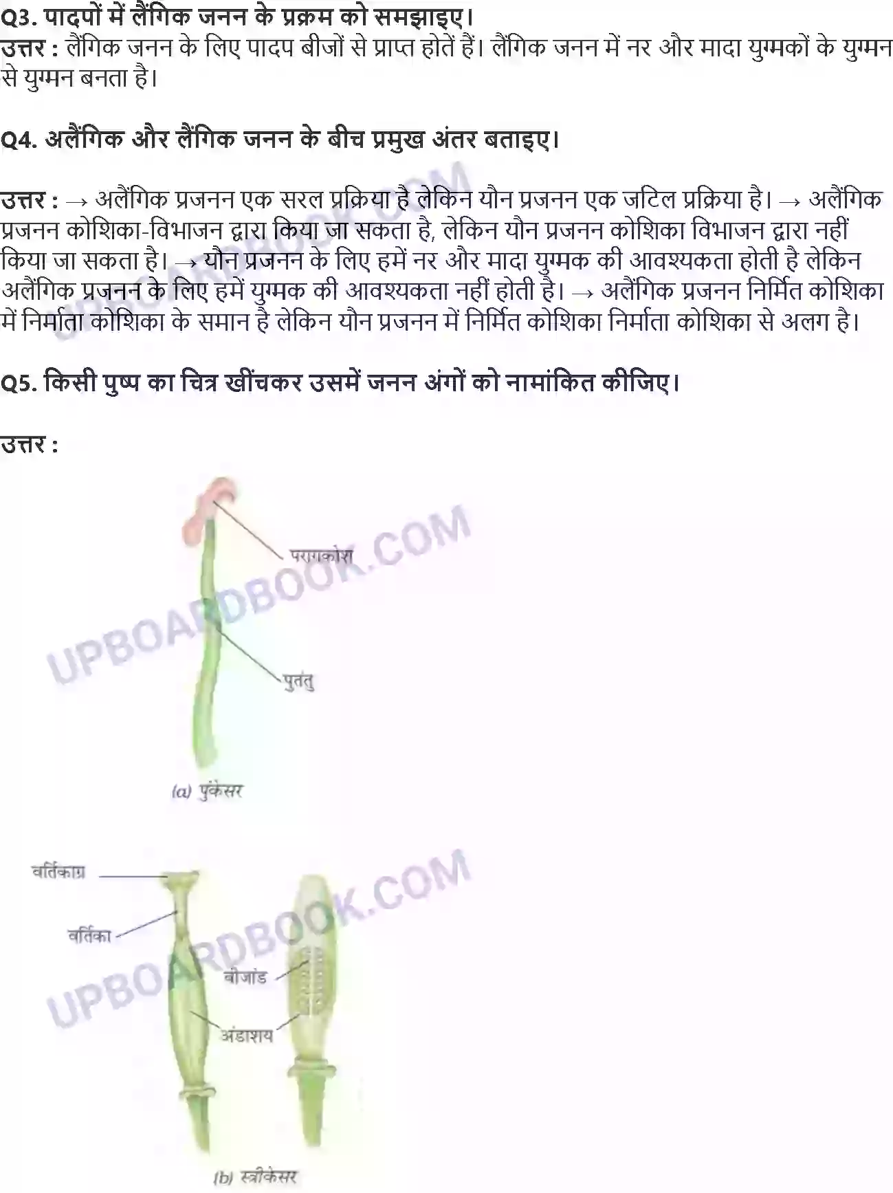 UP Board Solution class 7 Science 12. पादप में जनन Image 2