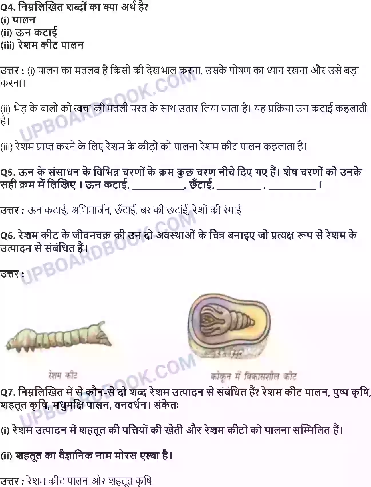 UP Board Solution Class 7 Science 3. तन्तु से वस्त्र तक Image 2