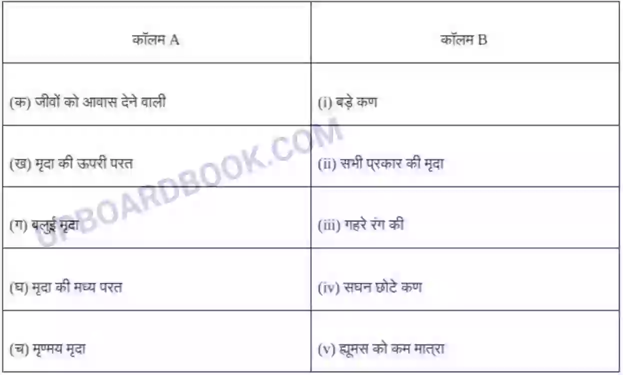 UP Board Solution Class 7 Science 9. मृदा Image 2