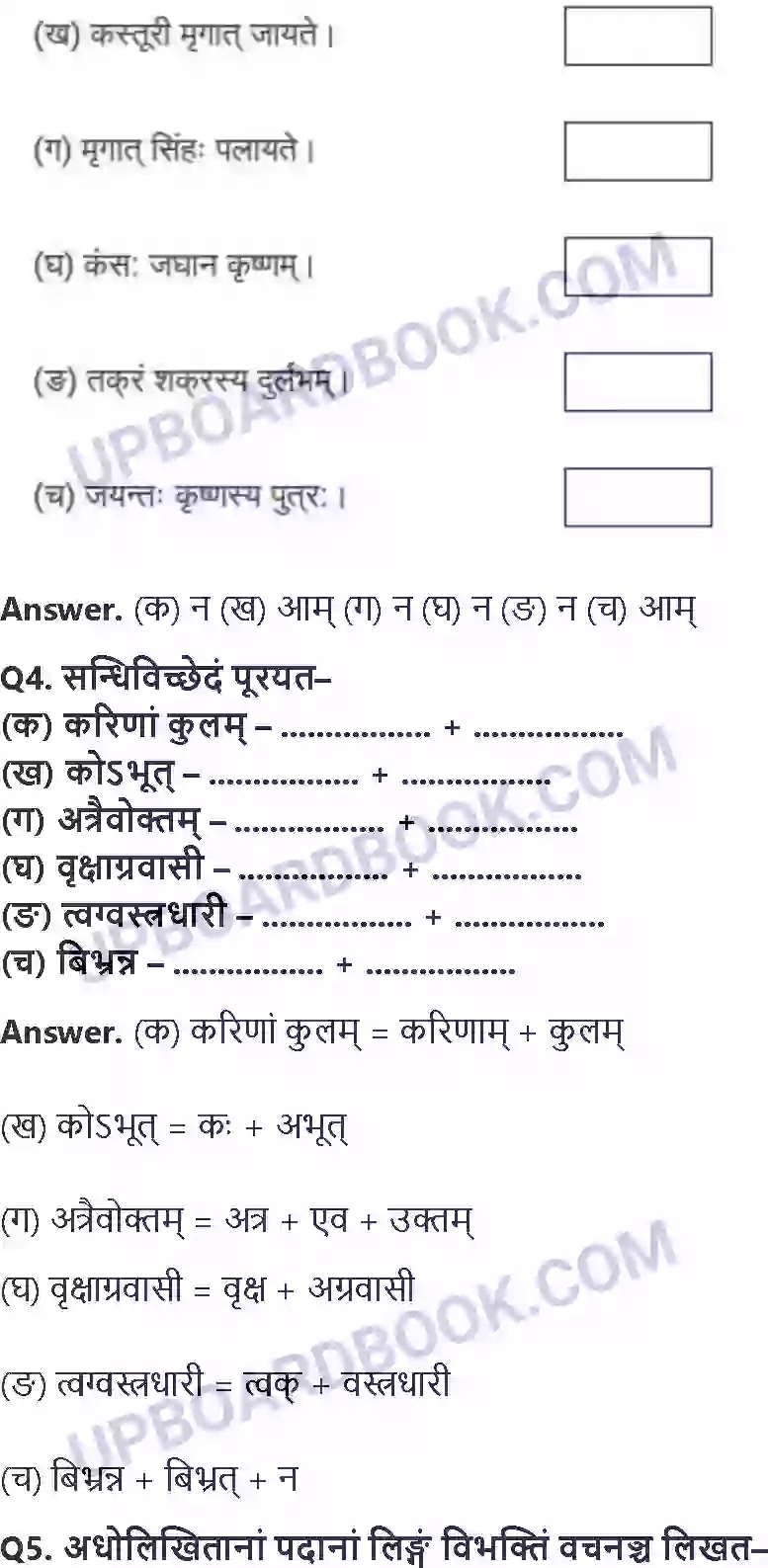UP Board Solution class 8 Hindi 15. प्रहेलिकाः Image 2
