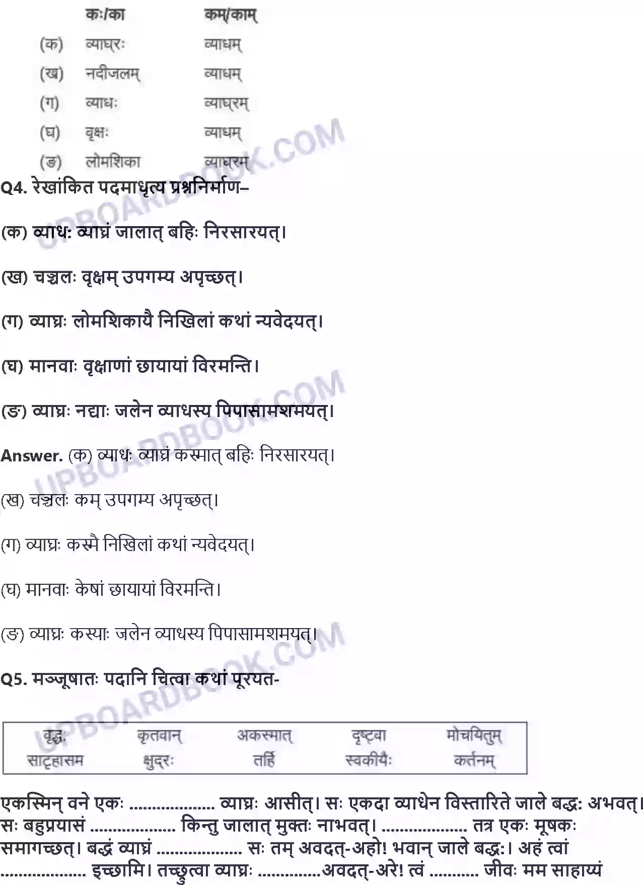 UP Board Solution class 8 Hindi 5. धर्मे धमनं पापे पुण्यम् Image 3