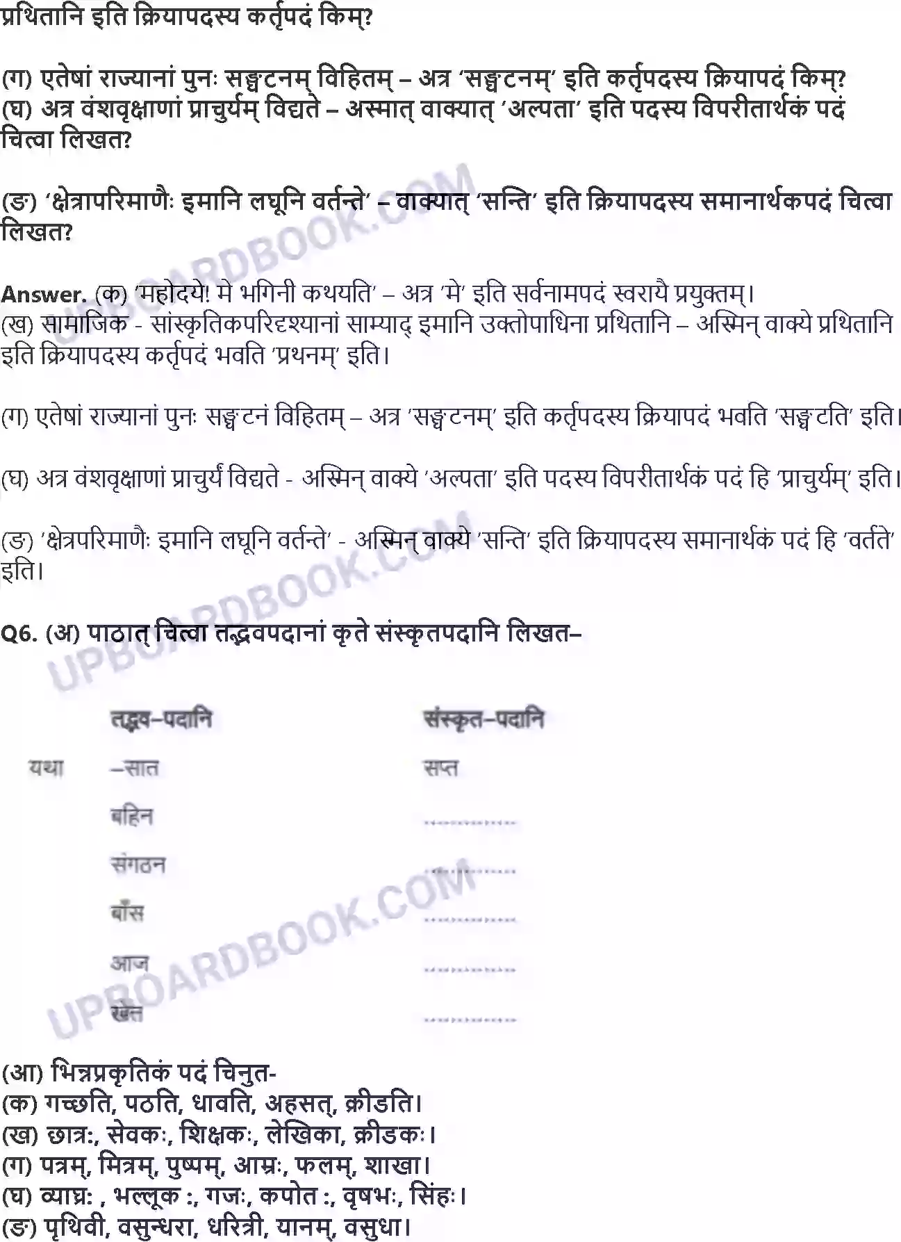 UP Board Solution Class 8 Hindi 9. सप्तभगिन्यः Image 3