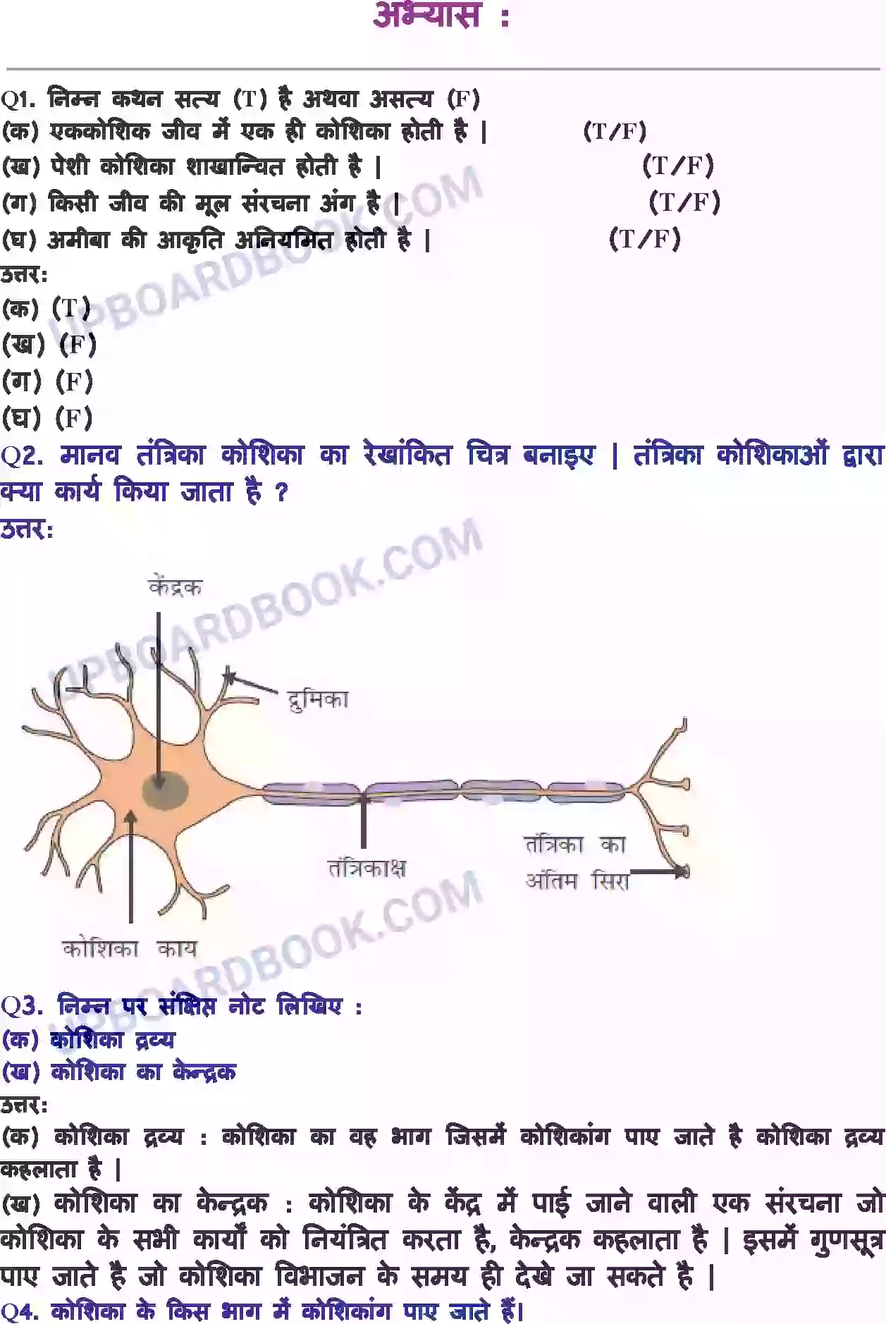 UP Board Solution class 8 Science 8. कोशिका - संरचना एवं प्रकार्य Image 2