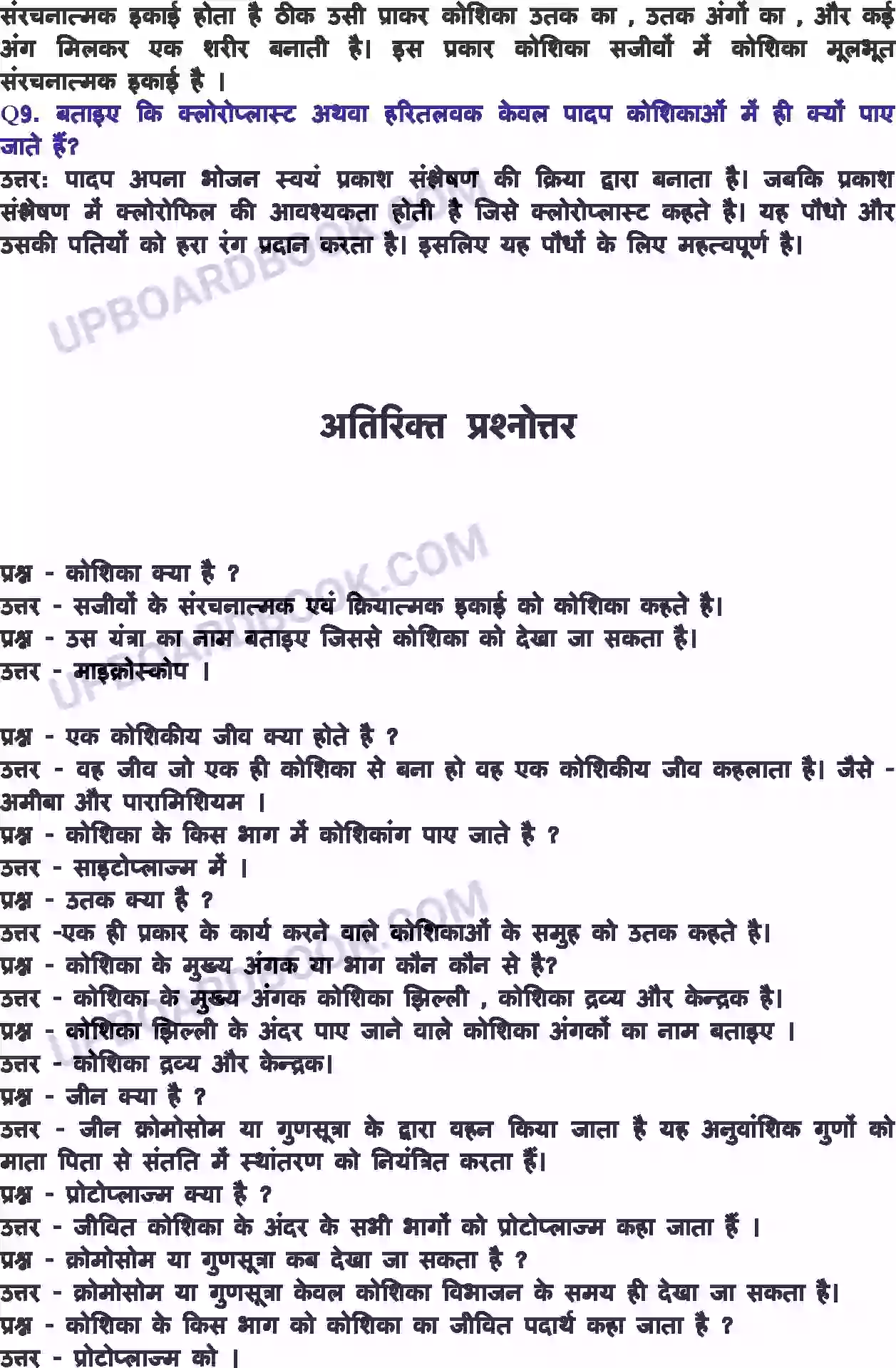UP Board Solution class 8 Science 8. कोशिका - संरचना एवं प्रकार्य Image 5