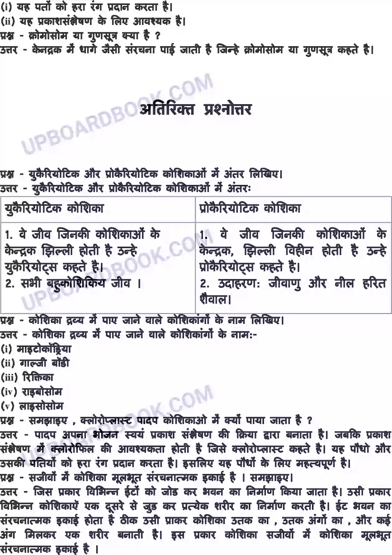 UP Board Solution class 8 Science 8. कोशिका - संरचना एवं प्रकार्य Image 7