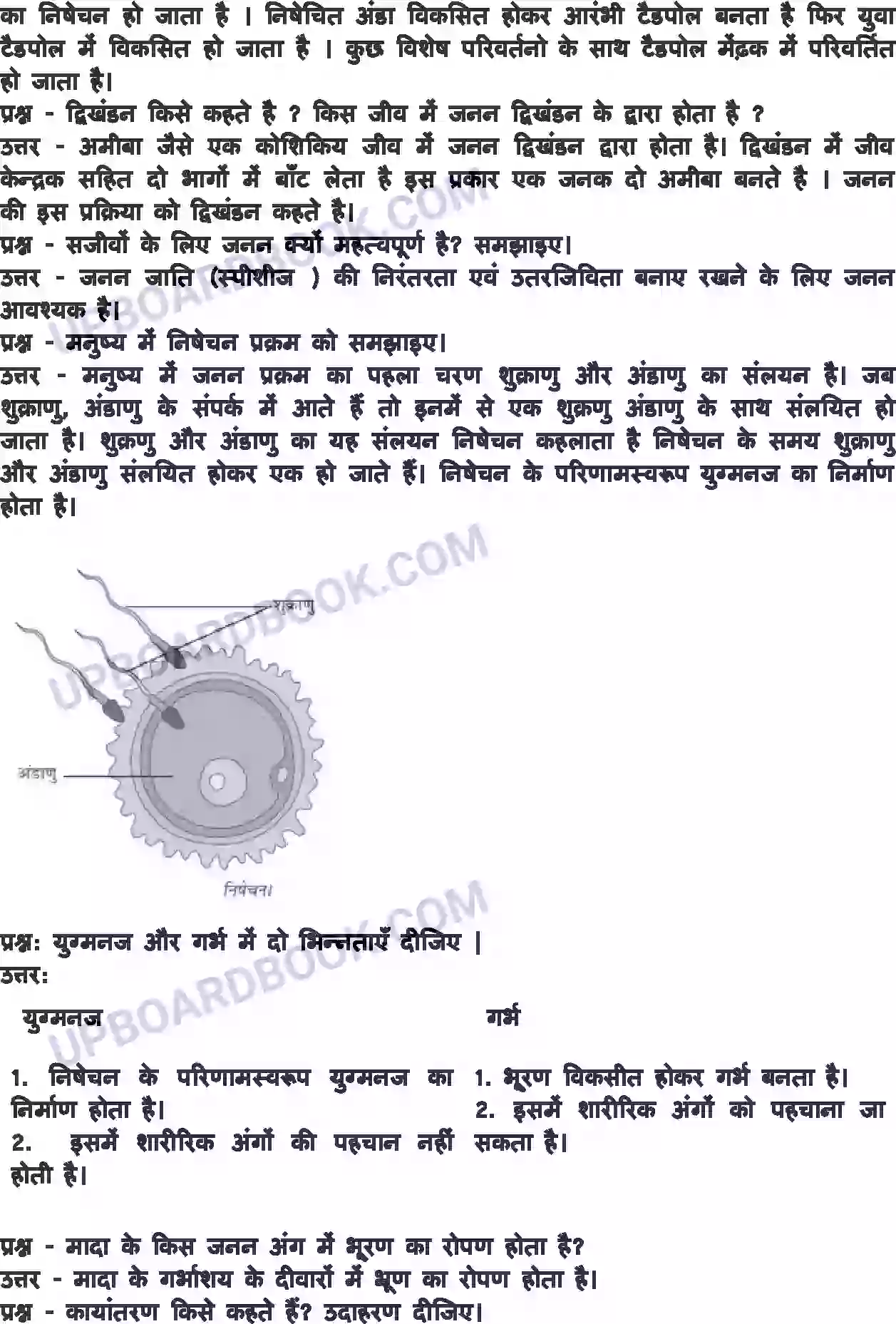 UP Board Solution class 8 Science 9. जंतुओं में जनन Image 4