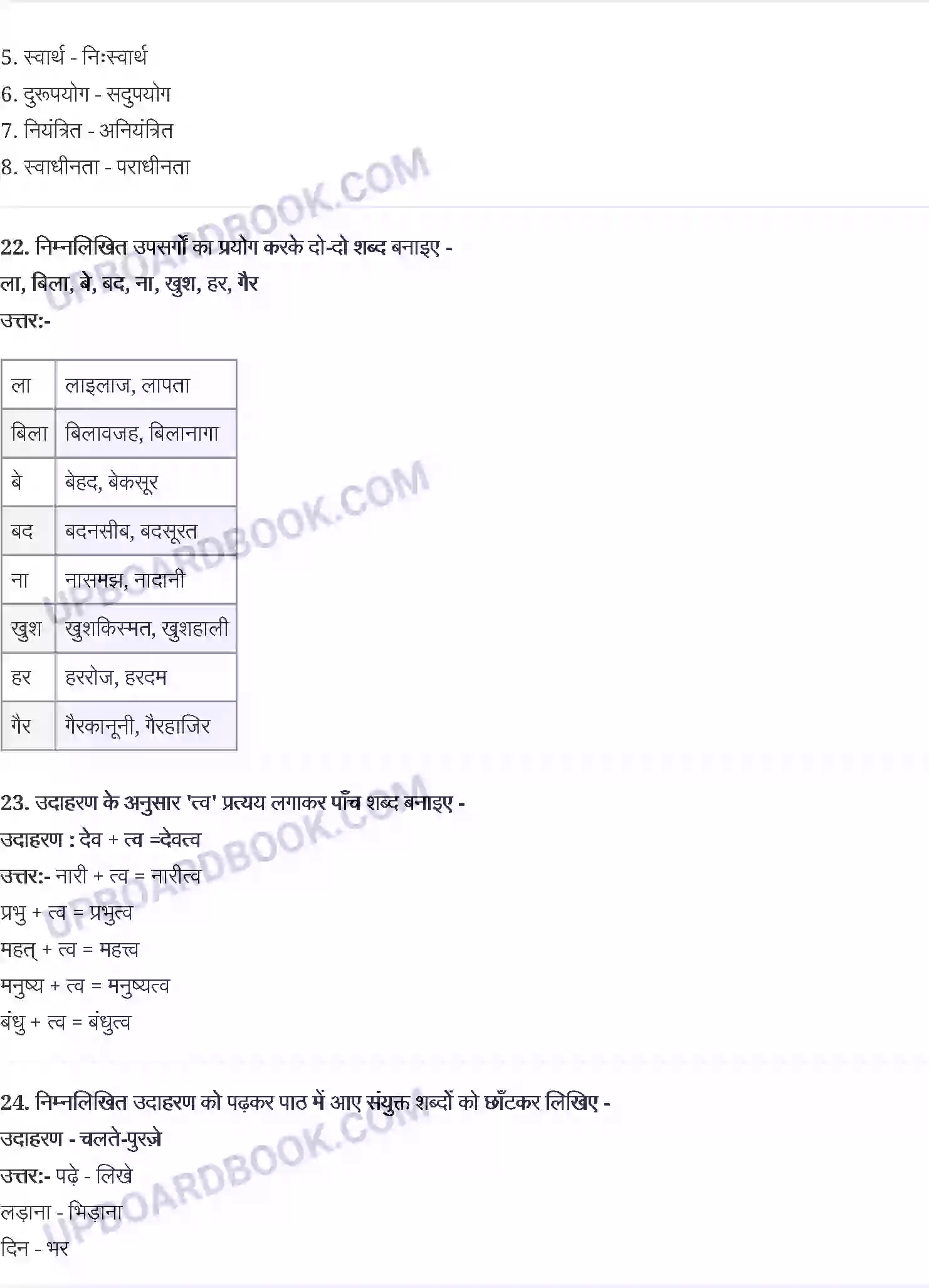 UP Board Solution class 9 Hindi 7. गणेशशंकर विद्यार्थी - धर्म की आड़ Image 5