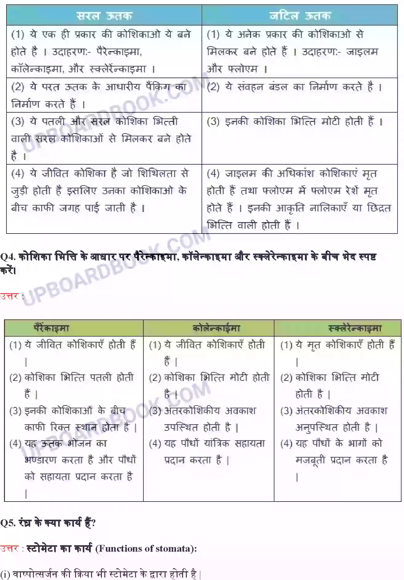 UP Board Solution class 9 Science 6. ऊतक Image 6