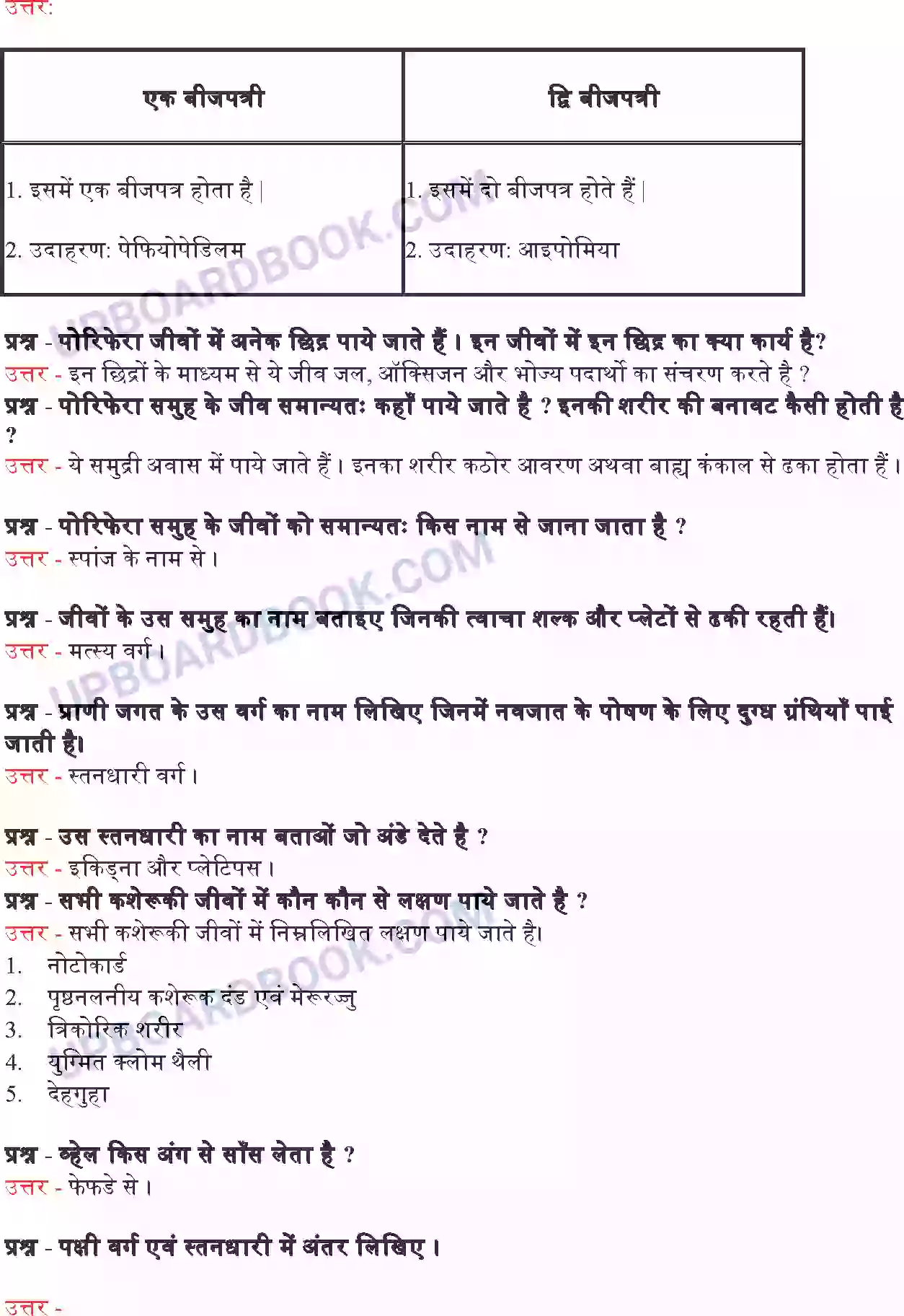 UP Board Solution class 9 Science 7. जीवों में विविधता Image 7