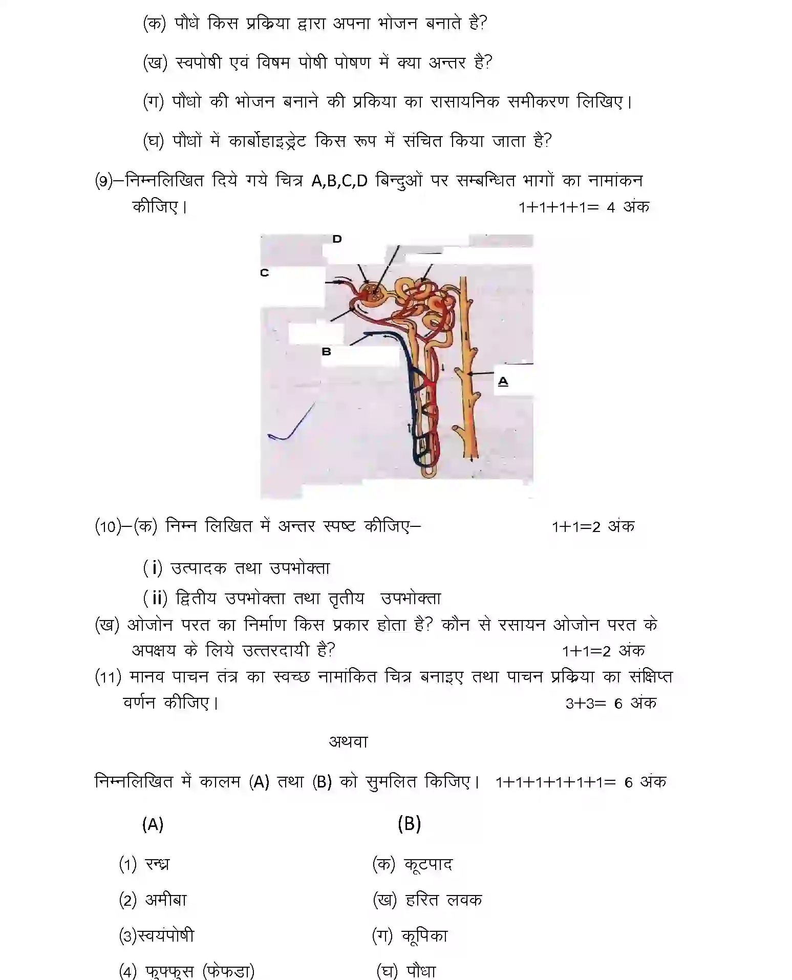 UP Board Class 10th Sample Paper 2025-26 Image 11