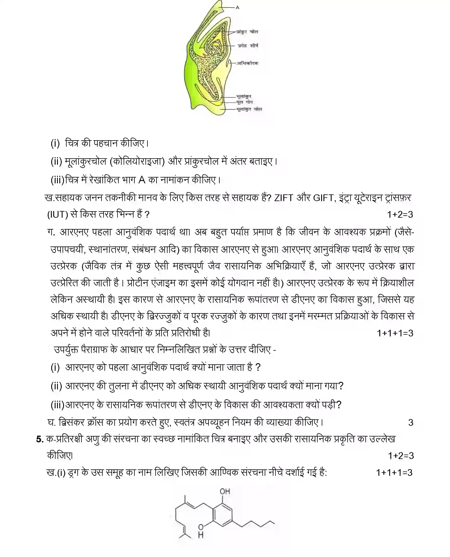 UP Board Class 12th Sample Paper 2025-26 Image 3
